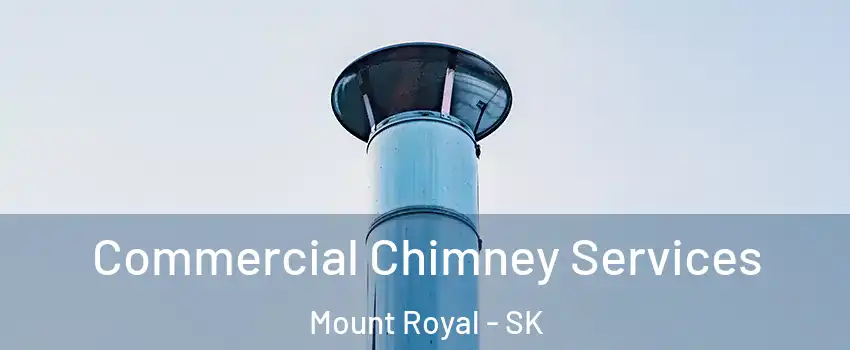  Commercial Chimney Services Mount Royal - SK