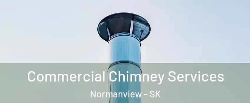  Commercial Chimney Services Normanview - SK