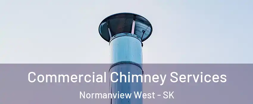  Commercial Chimney Services Normanview West - SK