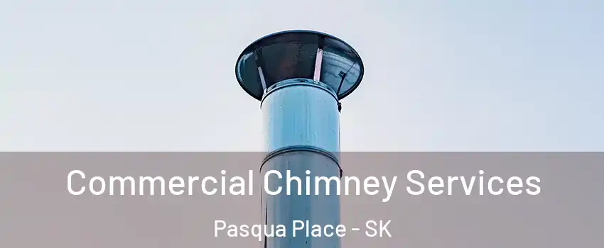  Commercial Chimney Services Pasqua Place - SK