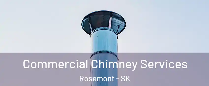  Commercial Chimney Services Rosemont - SK