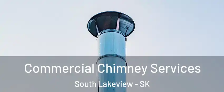  Commercial Chimney Services South Lakeview - SK