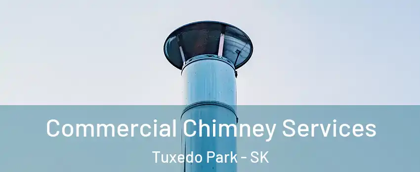  Commercial Chimney Services Tuxedo Park - SK