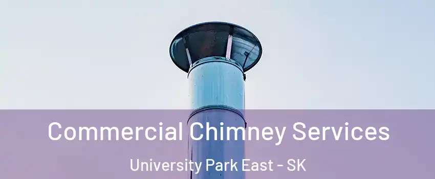  Commercial Chimney Services University Park East - SK