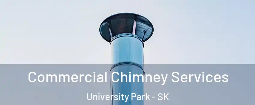  Commercial Chimney Services University Park - SK