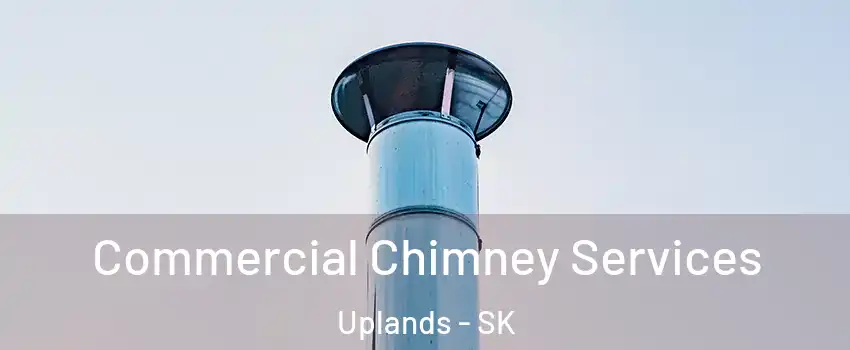  Commercial Chimney Services Uplands - SK
