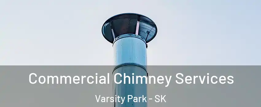  Commercial Chimney Services Varsity Park - SK