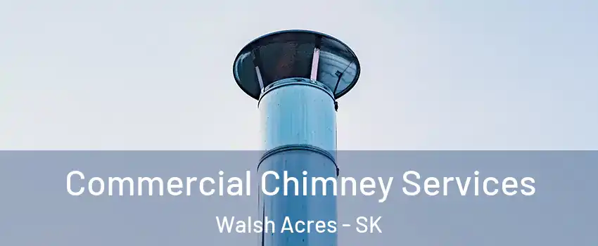  Commercial Chimney Services Walsh Acres - SK