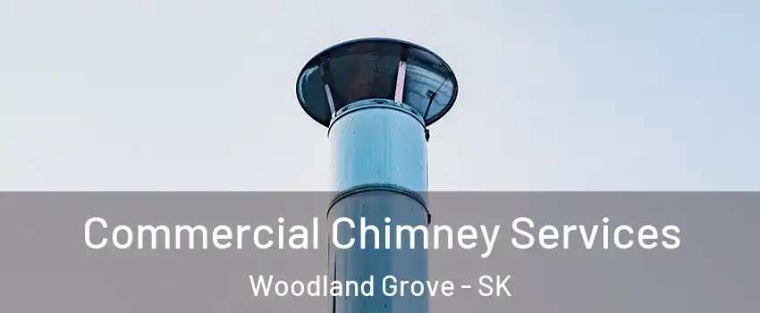  Commercial Chimney Services Woodland Grove - SK