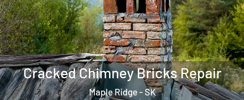  Cracked Chimney Bricks Repair Maple Ridge - SK