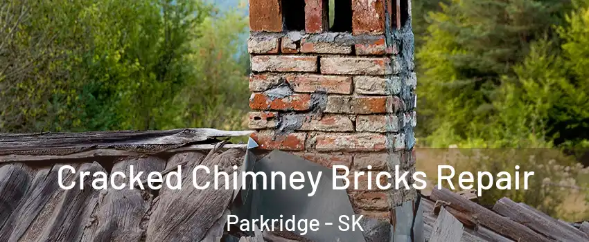  Cracked Chimney Bricks Repair Parkridge - SK
