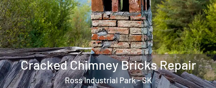  Cracked Chimney Bricks Repair Ross Industrial Park - SK