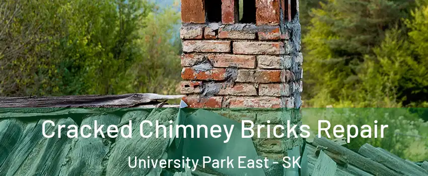  Cracked Chimney Bricks Repair University Park East - SK