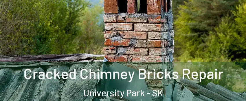  Cracked Chimney Bricks Repair University Park - SK