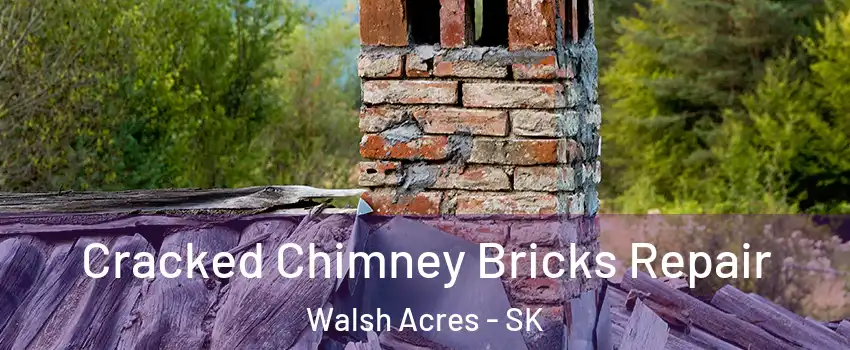  Cracked Chimney Bricks Repair Walsh Acres - SK