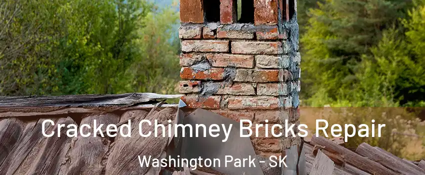  Cracked Chimney Bricks Repair Washington Park - SK