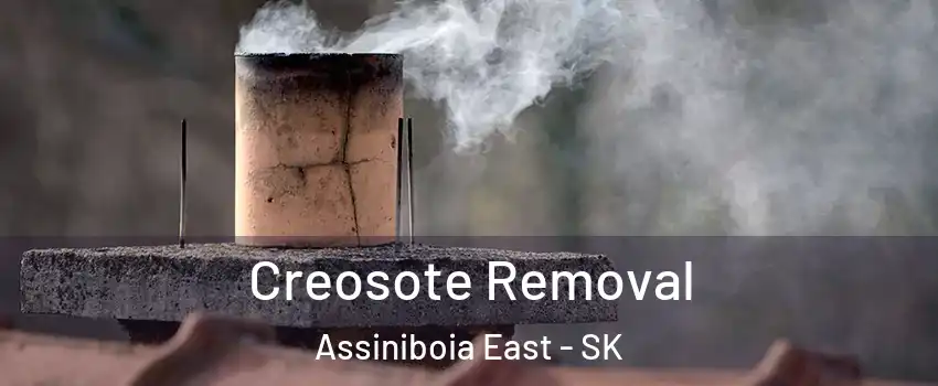  Creosote Removal Assiniboia East - SK