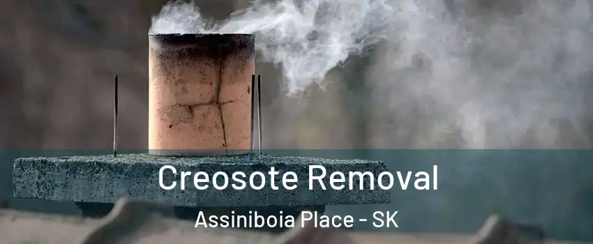  Creosote Removal Assiniboia Place - SK