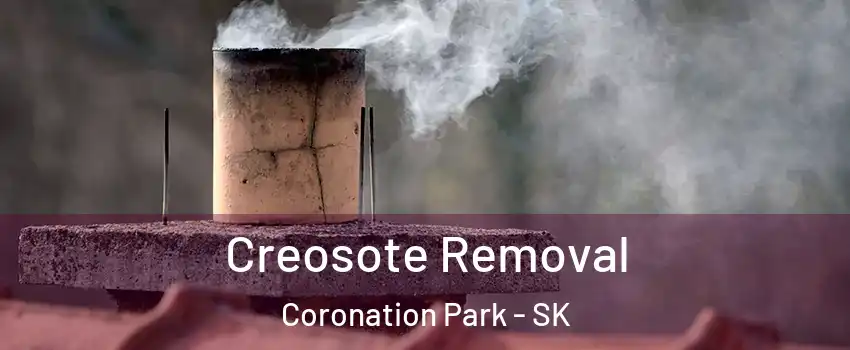  Creosote Removal Coronation Park - SK