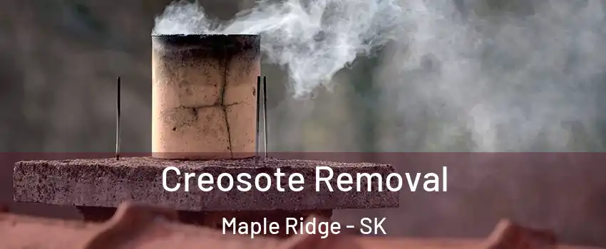  Creosote Removal Maple Ridge - SK