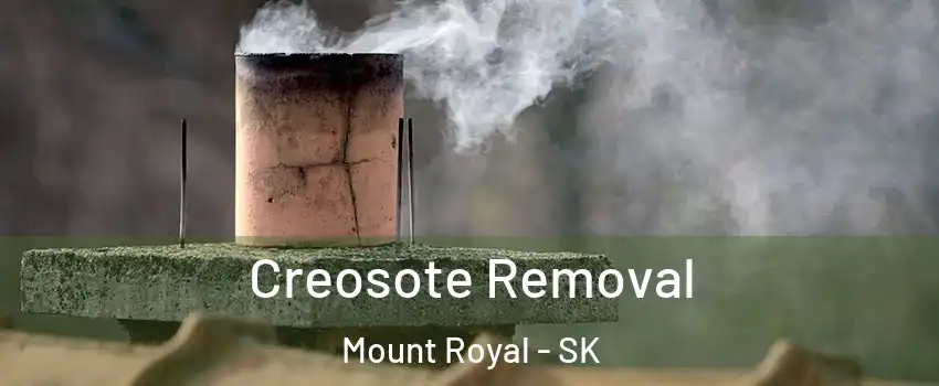  Creosote Removal Mount Royal - SK