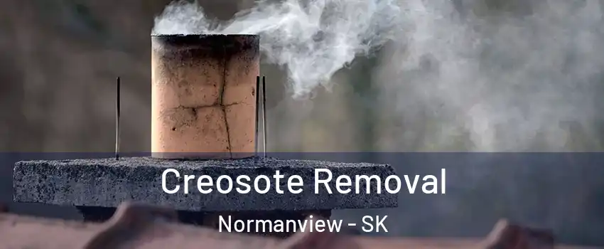  Creosote Removal Normanview - SK