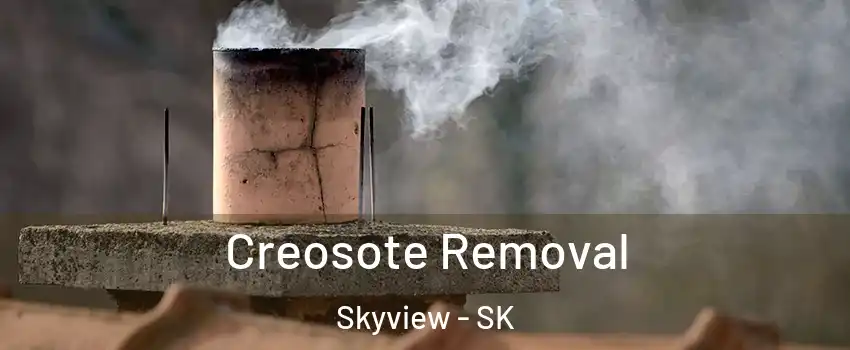  Creosote Removal Skyview - SK