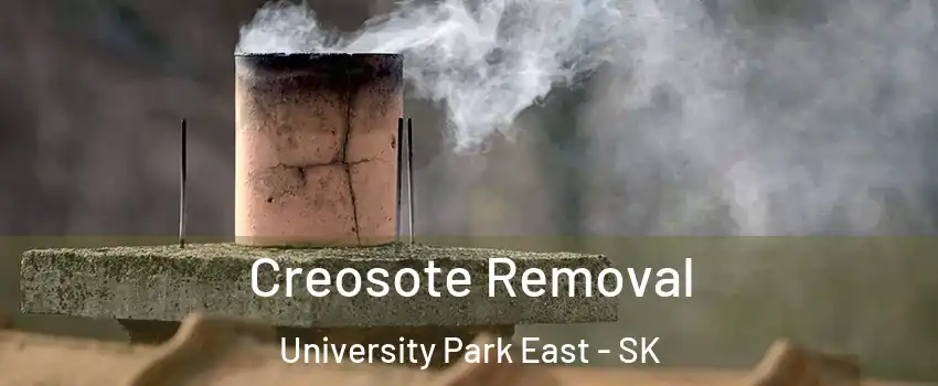 Creosote Removal University Park East - SK