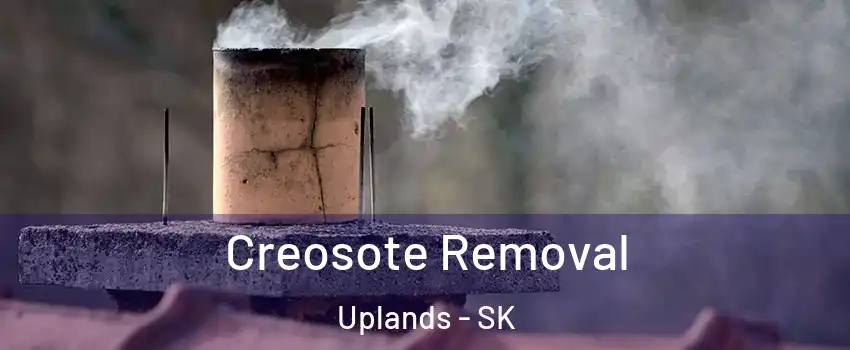  Creosote Removal Uplands - SK