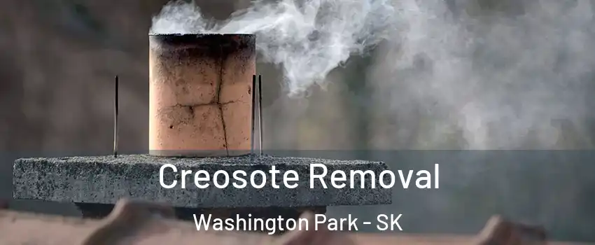  Creosote Removal Washington Park - SK