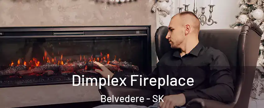  Dimplex Fireplace Belvedere - SK