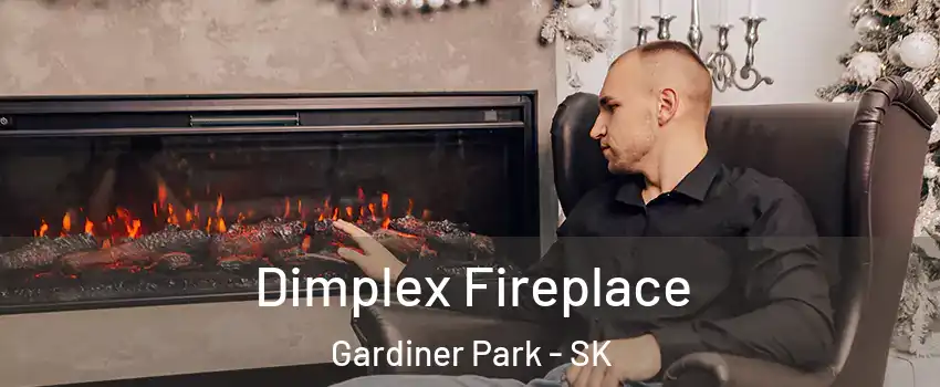  Dimplex Fireplace Gardiner Park - SK