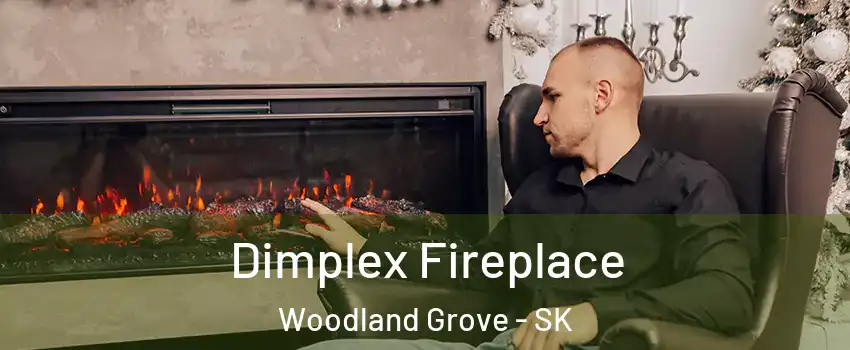  Dimplex Fireplace Woodland Grove - SK
