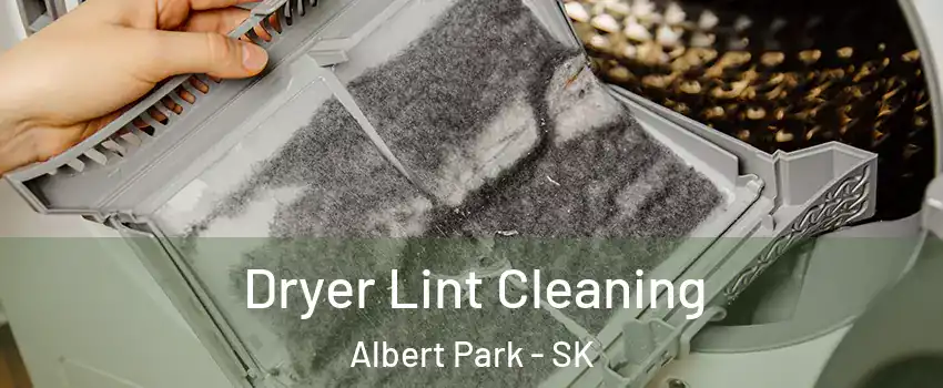  Dryer Lint Cleaning Albert Park - SK