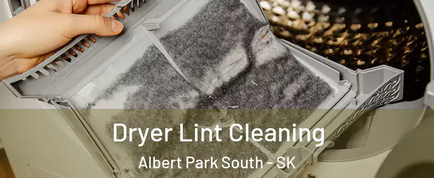  Dryer Lint Cleaning Albert Park South - SK