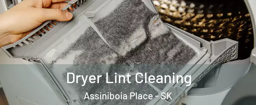  Dryer Lint Cleaning Assiniboia Place - SK