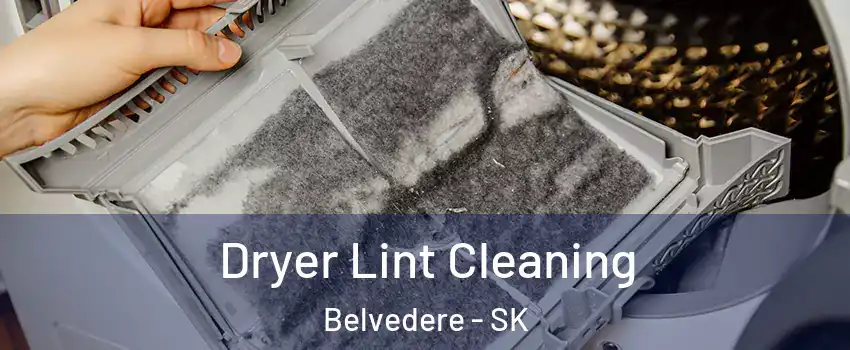  Dryer Lint Cleaning Belvedere - SK