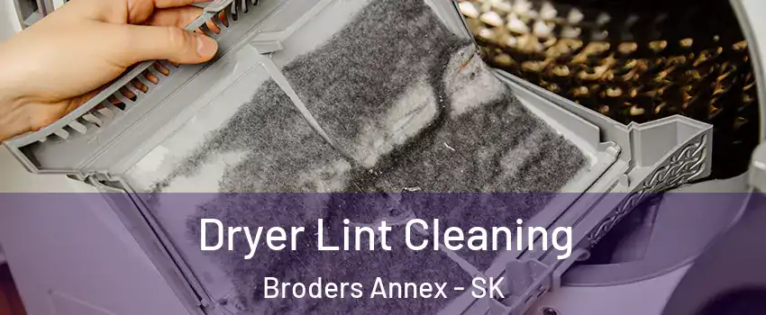  Dryer Lint Cleaning Broders Annex - SK