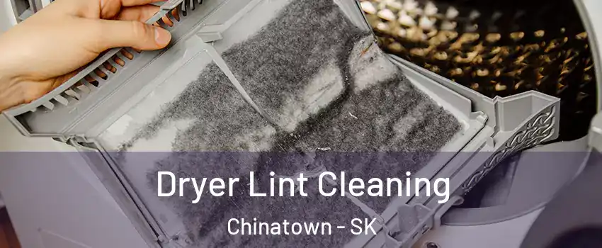  Dryer Lint Cleaning Chinatown - SK