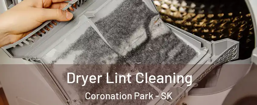 Dryer Lint Cleaning Coronation Park - SK