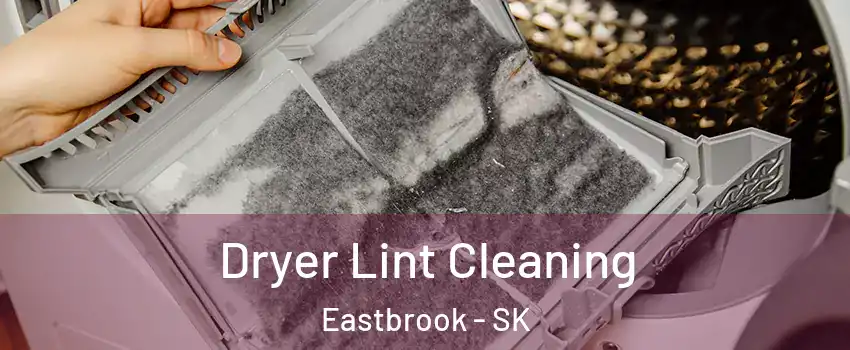  Dryer Lint Cleaning Eastbrook - SK
