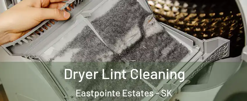  Dryer Lint Cleaning Eastpointe Estates - SK