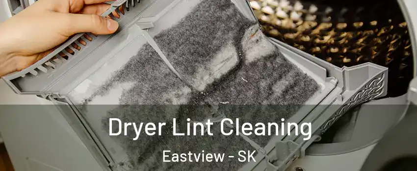  Dryer Lint Cleaning Eastview - SK