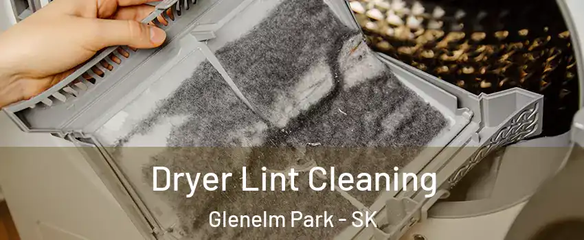  Dryer Lint Cleaning Glenelm Park - SK