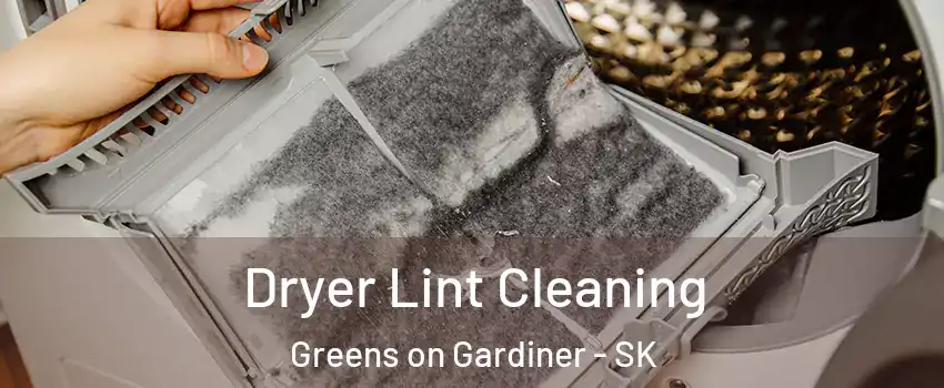  Dryer Lint Cleaning Greens on Gardiner - SK