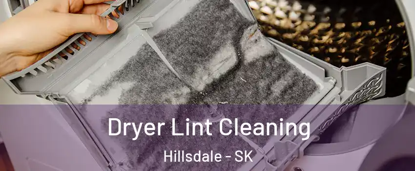  Dryer Lint Cleaning Hillsdale - SK