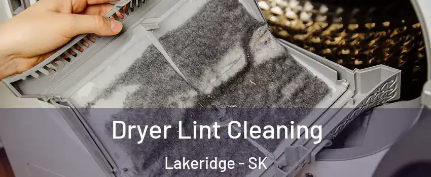  Dryer Lint Cleaning Lakeridge - SK