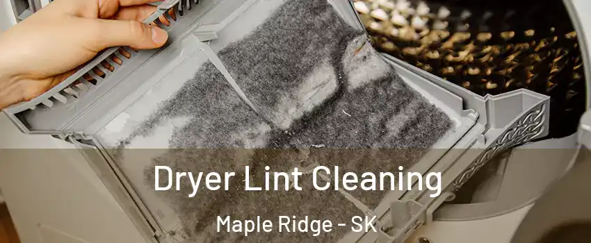  Dryer Lint Cleaning Maple Ridge - SK