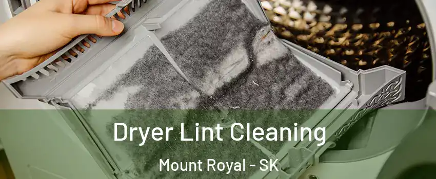  Dryer Lint Cleaning Mount Royal - SK