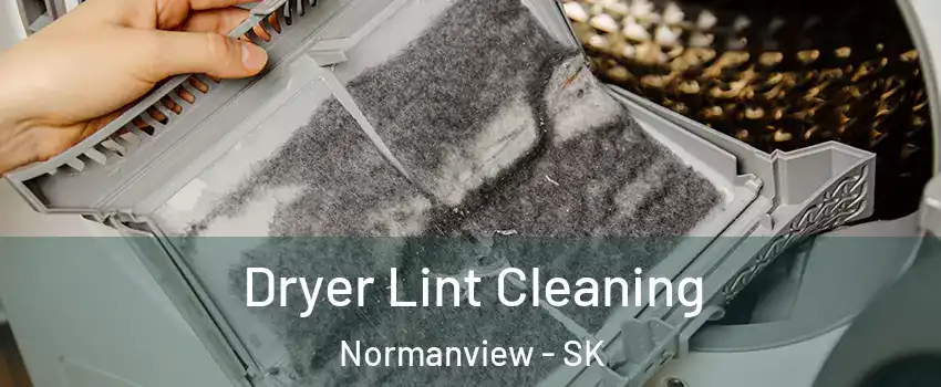  Dryer Lint Cleaning Normanview - SK